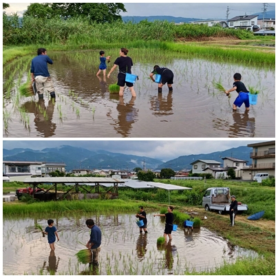 塚ちゃんたち田植え